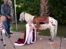 DSC01249.JPG