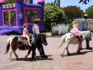 DSC01301.JPG