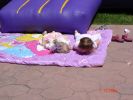 DSC01238.JPG
